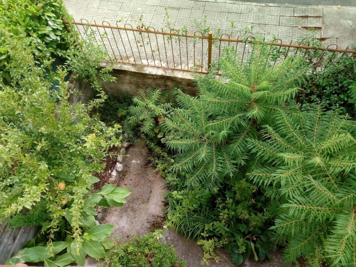 Il Cactus Bed & Breakfast San Giovanni Incarico Exterior photo